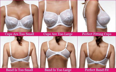 If the Bra Fits!