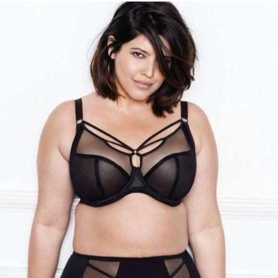 Elomi Sachi Bra in Black EL4350
