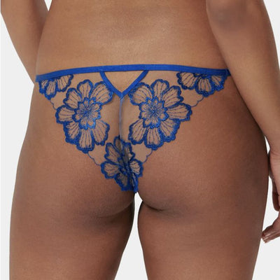 Bluebella Catalina Brief in Egyptian Blue 42211-Panties-Bluebella-Egyptian Blue-XXSmall-Anna Bella Fine Lingerie, Reveal Your Most Gorgeous Self!