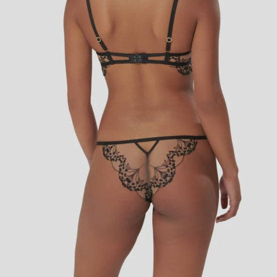 Bluebella Marisa Brief 42188-Anna Bella Fine Lingerie-Black / Sheer-2XSmall-