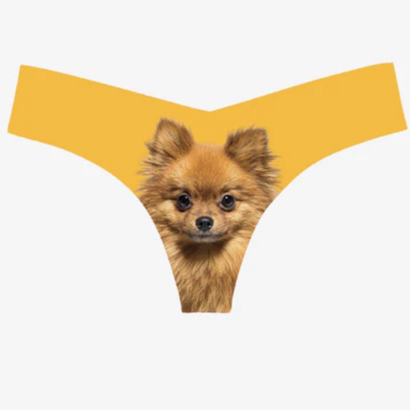 Commando Photo-Op Thong Pomeranian CT18-Anna Bella Fine Lingerie-Pomeranian-Small/Medium-