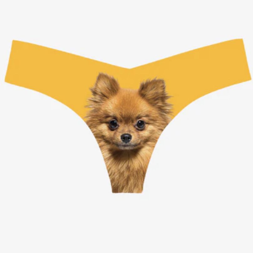 Commando Photo-Op Thong Pomeranian CT18-Panties-Commando-Pomeranian-Small/Medium-Anna Bella Fine Lingerie, Reveal Your Most Gorgeous Self!