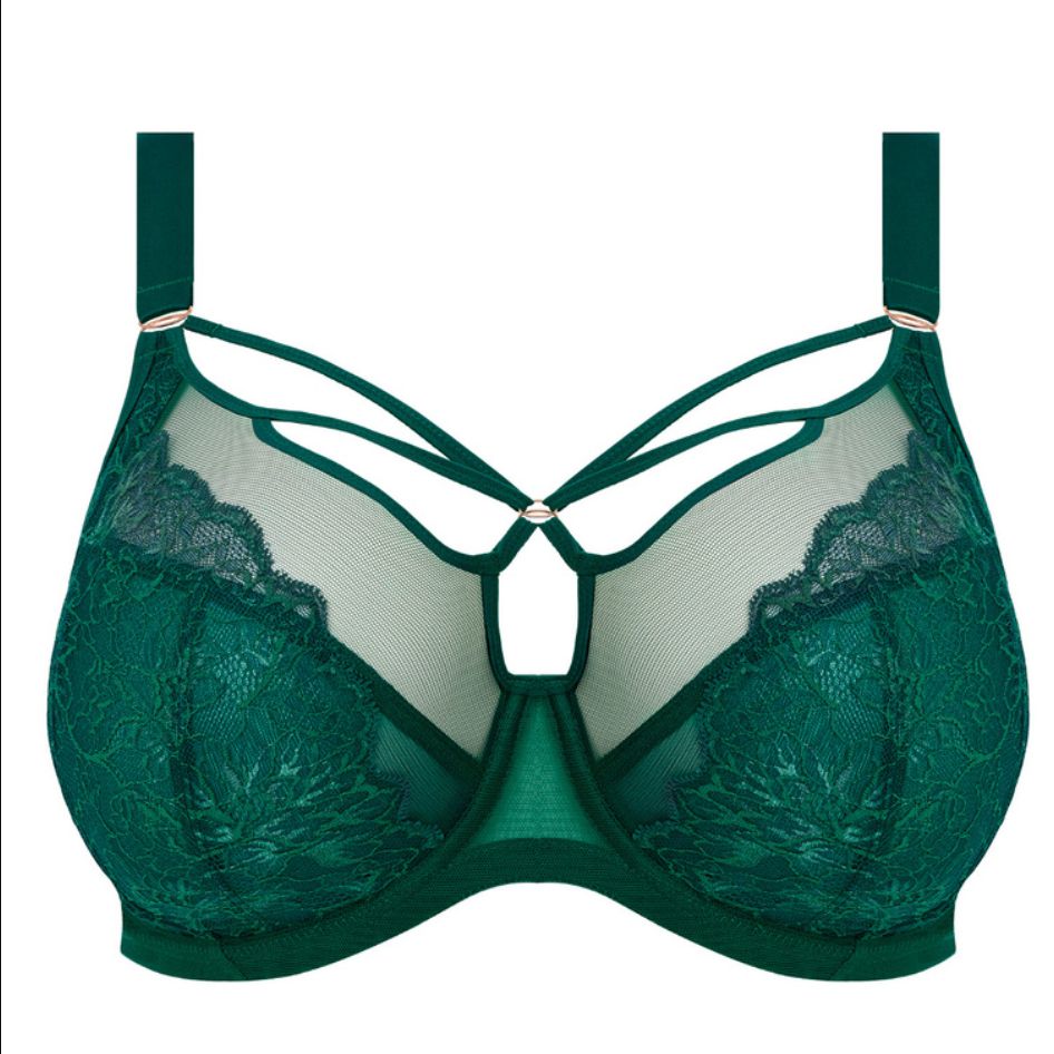 Elomi Brianna UW Plunge Bra in Rainforest EL8080-Bras-Elomi-Rainforest-38-E-Anna Bella Fine Lingerie, Reveal Your Most Gorgeous Self!