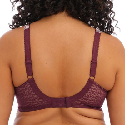 Elomi Lucie UW Plunge Bra EL 4490 in Wild Thing-Anna Bella Fine Lingerie-Wild Thing-40-DD