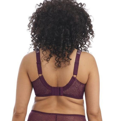 Elomi Lucie UW Plunge Bra EL4490-Anna Bella Fine Lingerie-Mambo-36-HH