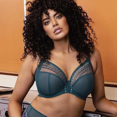 Elomi Matilda UW Plunge Bra in Blue Star EL8900-Anna Bella Fine Lingerie-Blue Star-38-E