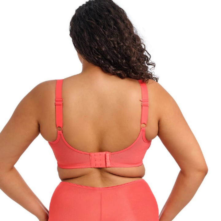 Elomi Matilda UW Plunge Bra in Sunset EL8900-Bras-Elomi-Sunset-42-F-Anna Bella Fine Lingerie, Reveal Your Most Gorgeous Self!