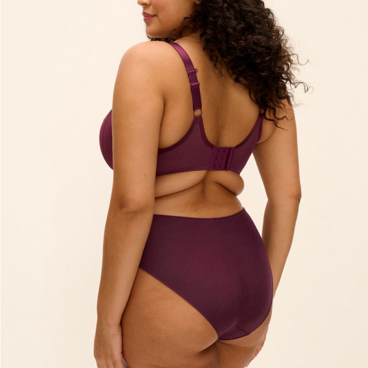 Elomi Reja Brief in Fig EL303150-Panties-Elomi-Fig-2XLarge-Anna Bella Fine Lingerie, Reveal Your Most Gorgeous Self!
