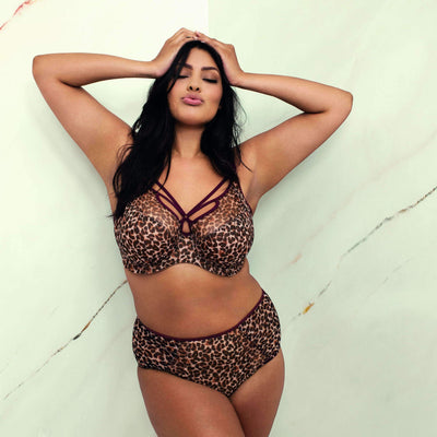 Elomi Sachi Bra EL4350-Anna Bella Fine Lingerie-Leopard Print-38-E
