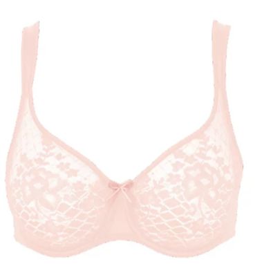 Empreinte Melody Seamless Full-Cup Bra in Flirt 0786-Anna Bella Fine Lingerie-Flirt-34-D