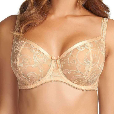 Fantasie Allegra Vertical Seam Bra FL9091-Anna Bella Fine Lingerie-Butterscotch-30-F