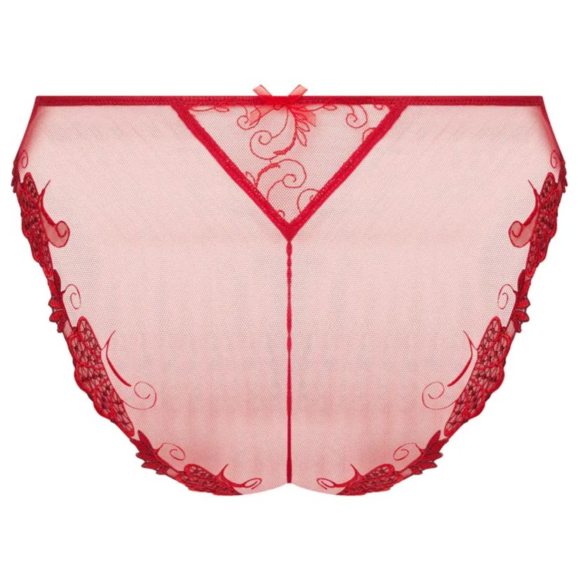 Lise Charmel Dressing Floral Italian Brief in Red ACC0788-Anna Bella Fine Lingerie-Red-Small-