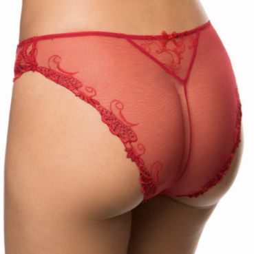 Lise Charmel Dressing Floral Italian Brief in Red ACC0788-Panties-Lise Charmel-Red-Small-Anna Bella Fine Lingerie, Reveal Your Most Gorgeous Self!