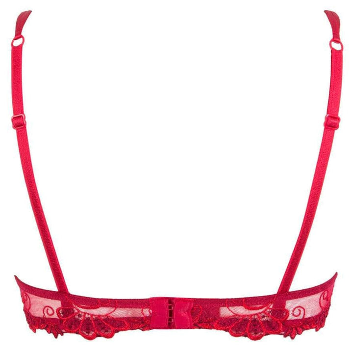 Lise Charmel Dressing Floral Lace Bra in Red ACC3088-Bras-Lise Charmel-Red-32-B-Anna Bella Fine Lingerie, Reveal Your Most Gorgeous Self!