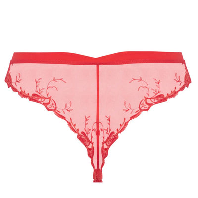 Lise Charmel Source Beaute Thong in Hibiscus ACH0072-Anna Bella Fine Lingerie-Ecru Nacre-XSmall-