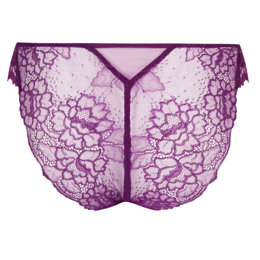 Lise Charmel Sublime En Dentelle Italian Brief ACH0713 in Iris-Anna Bella Fine Lingerie-Iris-Small-