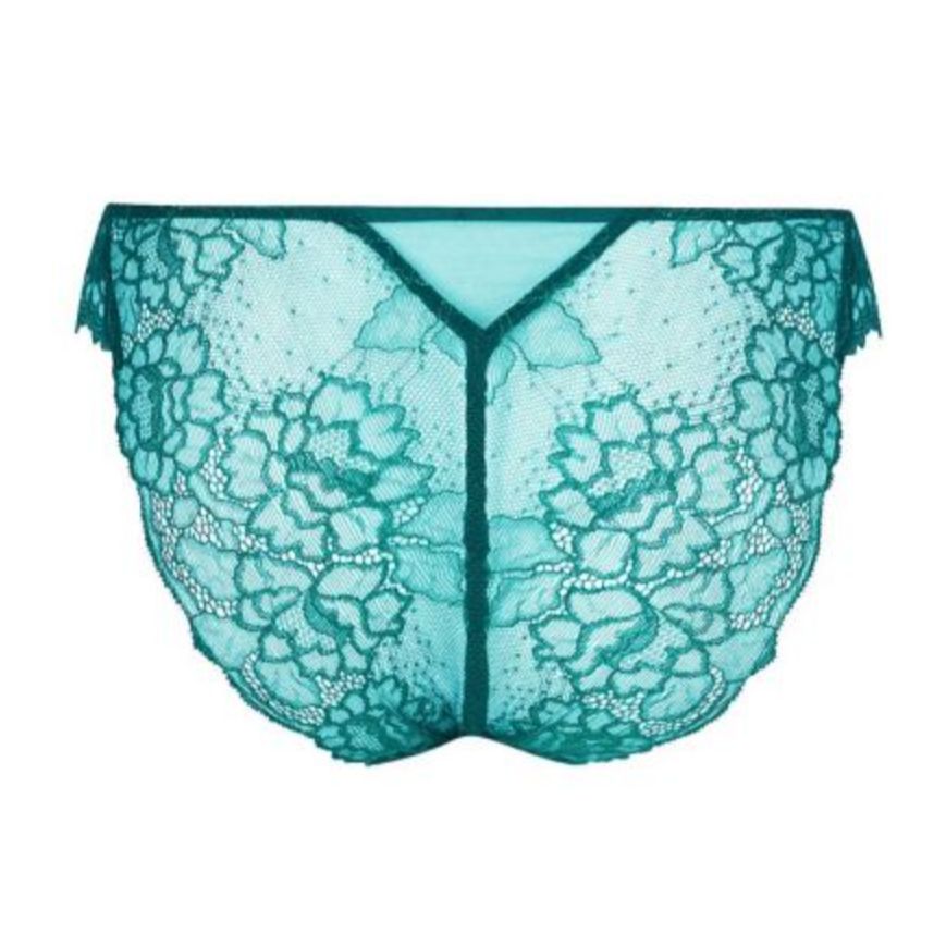 Lise Charmel Sublime En Dentelle Italian Brief ACH0713 in Vert Princesse-Anna Bella Fine Lingerie-Vert Princesse-Small-