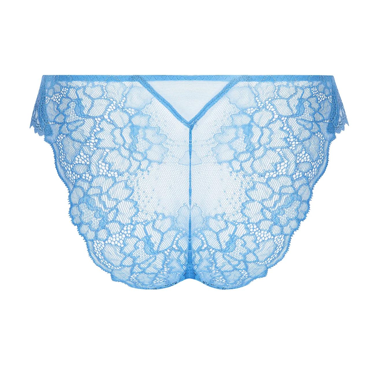 Lise Charmel Sublime En Dentelle Italian Brief in Azur Sublime ACH0713-Anna Bella Fine Lingerie-Azur Sublime-Small-