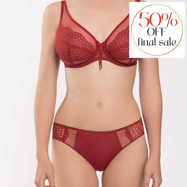 Maison Lejaby Wings Slip Bikini Briefs G61863-Panties-Maison Lejaby-Vintage Lipstick-Small-Anna Bella Fine Lingerie, Reveal Your Most Gorgeous Self!