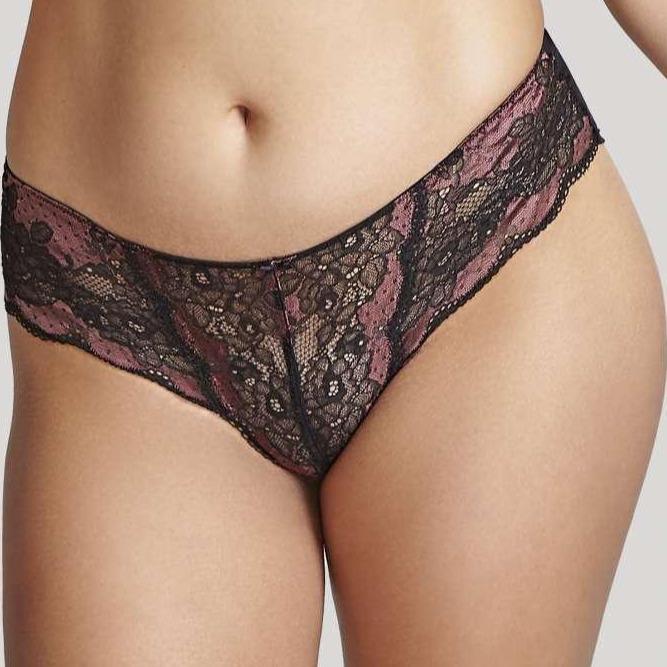 Panache Clara Brief in Black Fig 7253-Anna Bella Fine Lingerie-Black Fig-XSmall-