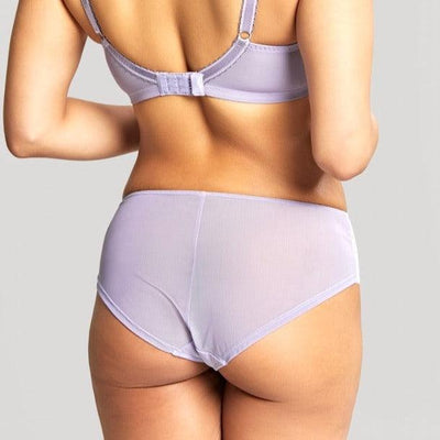 Panache Clara Brief in Thistle Haze 7253-Anna Bella Fine Lingerie-Thistle Haze-Small-