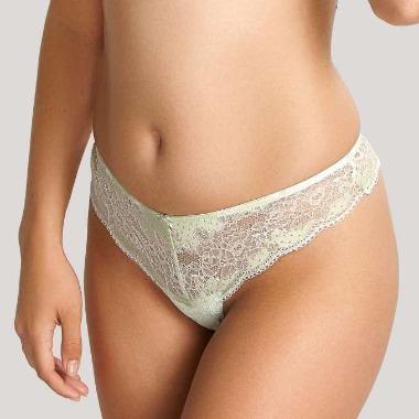 Panache Clara Thong in Soft Sage 7259-Anna Bella Fine Lingerie-Soft Sage-XSmall-