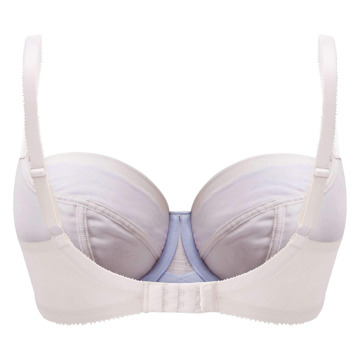 Panache Georgia Bra 8001-Anna Bella Fine Lingerie-Blush/Blue-34-E