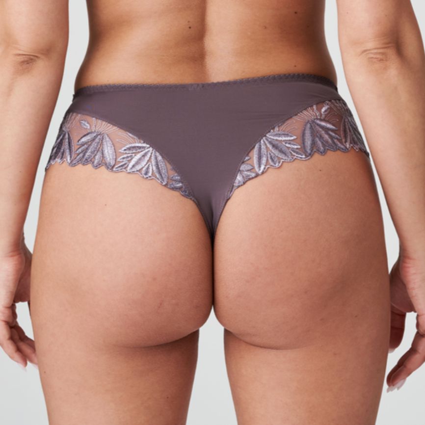 Prima Donna Orlando Thong in Eye Shadow 0663151-Panties-Prima Donna-Eye Shadow-Medium-Anna Bella Fine Lingerie, Reveal Your Most Gorgeous Self!