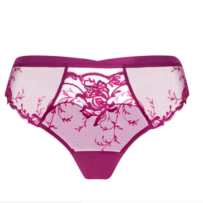 Lise Charmel Source Beaute Italian Brief in Amarante ACH0772-Anna Bella Fine Lingerie-Amaranthe-Small-