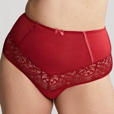 Sculptresse Estel High Waist Brief in Raspberry 9684-Anna Bella Fine Lingerie-Raspberry-Large-